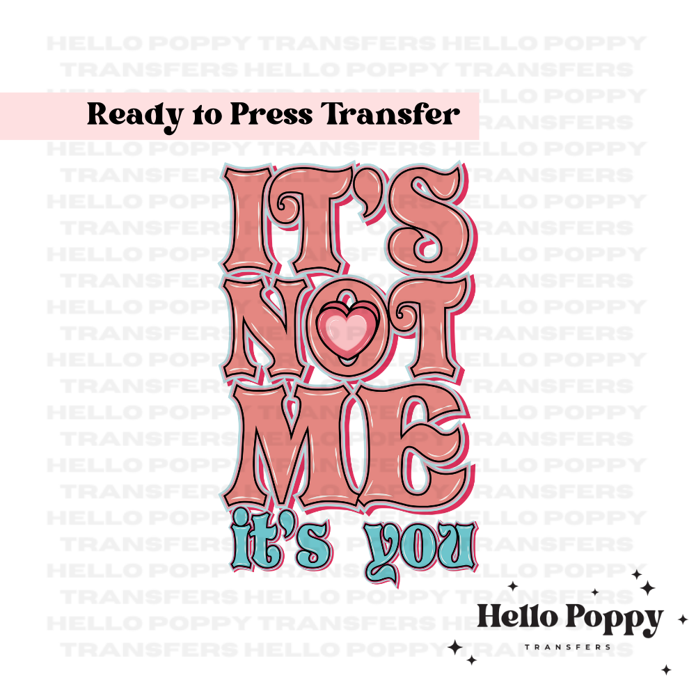 It's Not Me It's You Valentines Full Color Transfer